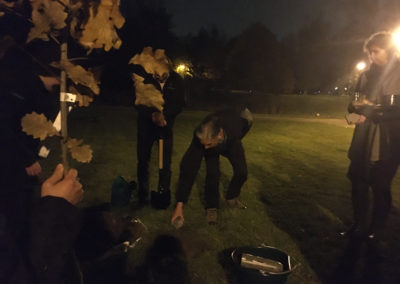 A group of people plant a tree at night