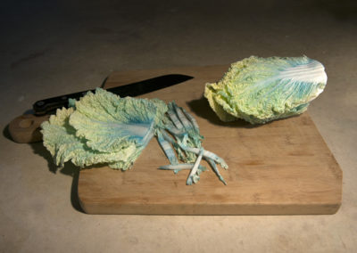 Discoloured cabage being chopped as though for dinner