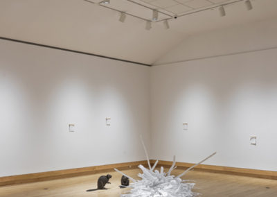 the artwork in exhibition