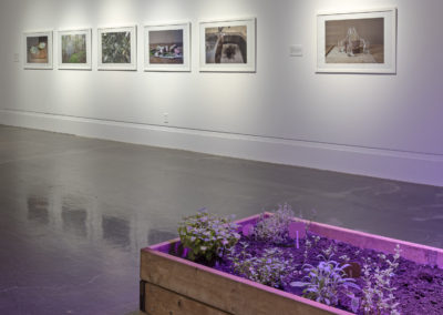 Photographs in exhibition