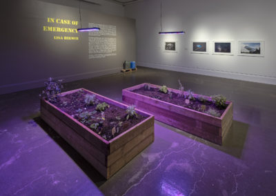 an exhibition view
