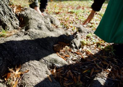 two people reach towards a large tree root