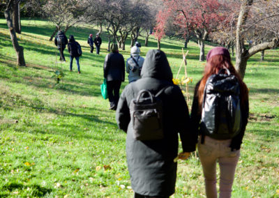 A group of people walk in a botanical garden full of trees