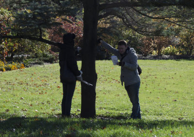 Two people lay their hands on a tree