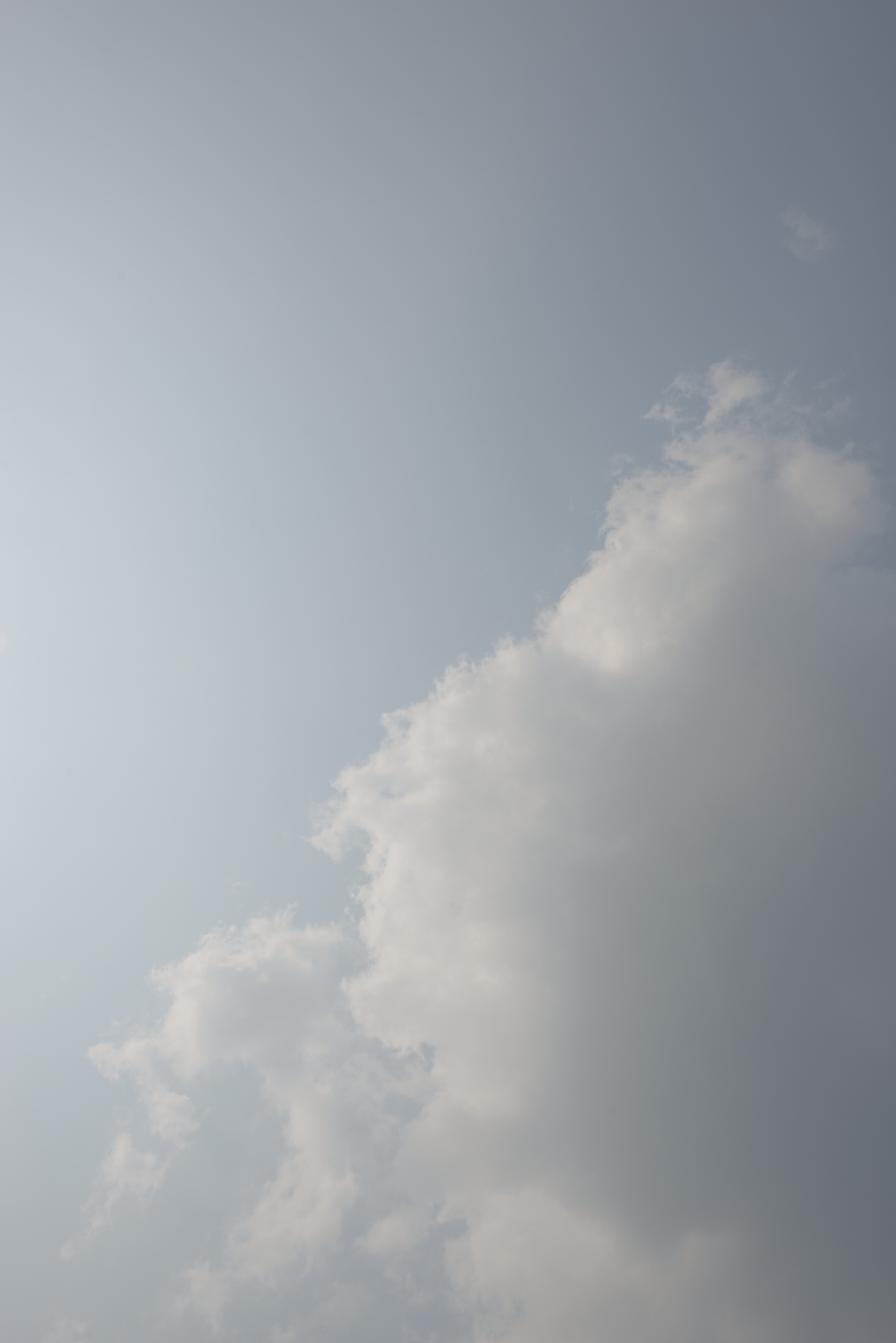 A smokey sky